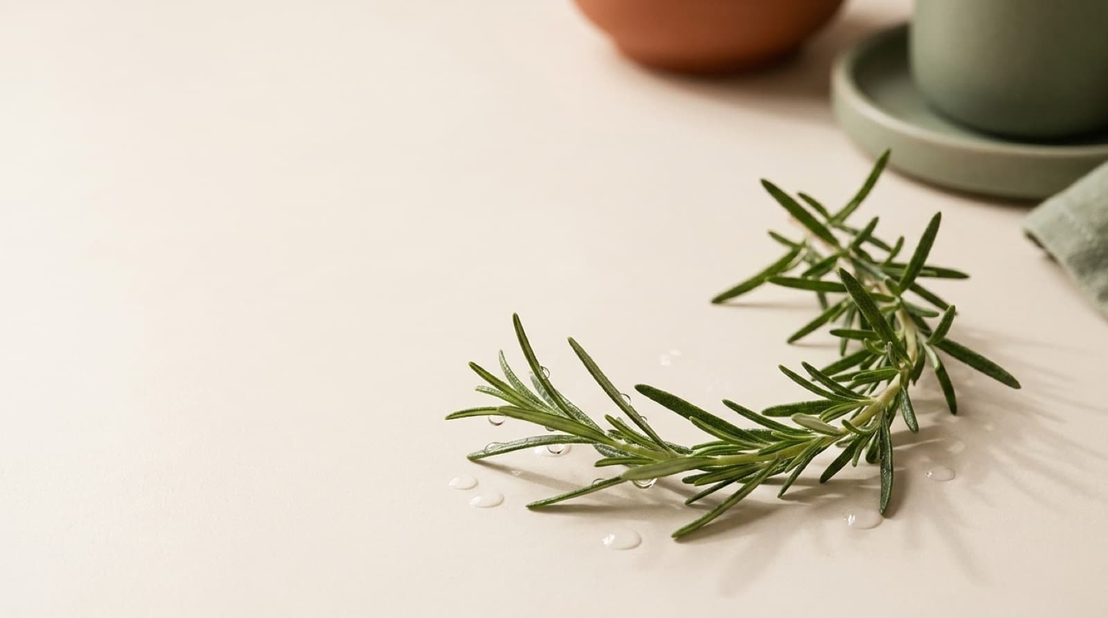 Fresh rosemary sprig with water droplets — does rosemary oil stimulate hair growth, on a cream stone surface